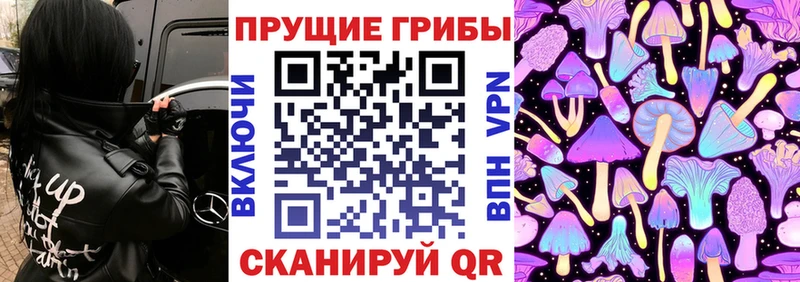 даркнет Telegram Городец Галлюциногенные грибы прущие грибы наркота